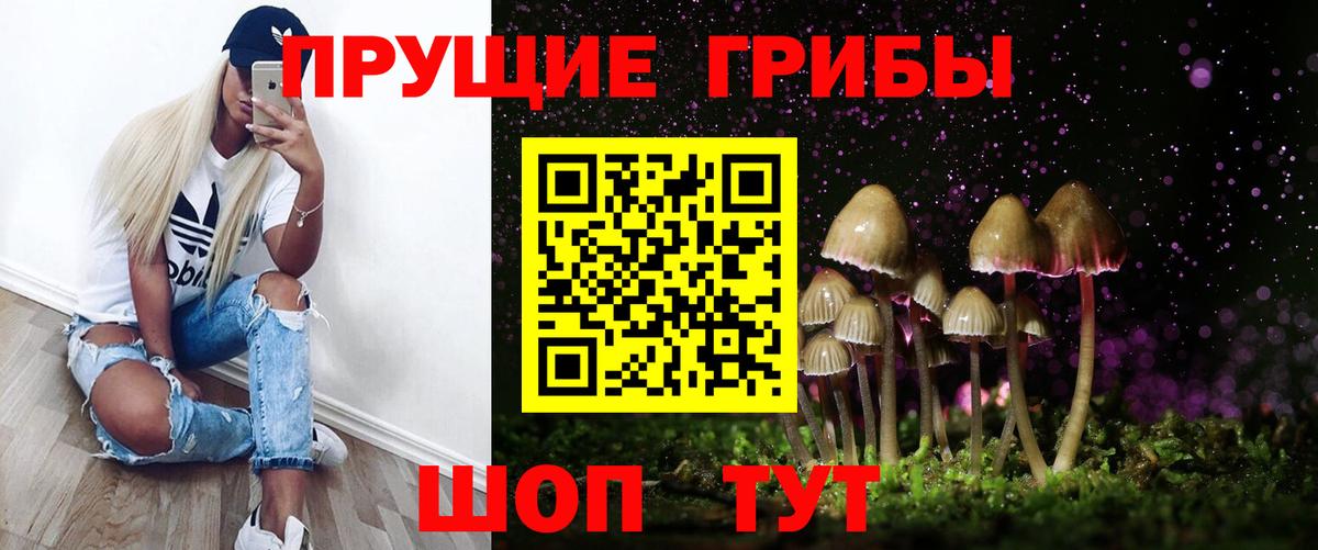 Галлюциногенные грибы MAGIC MUSHROOMS  дарнет шоп  Волхов  Вход с VPN 