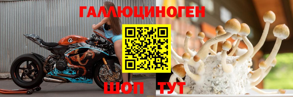 Галлюциногенные грибы мицелий Волхов